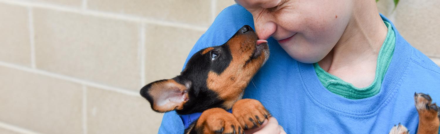 overflow in animal shelter in san antonio