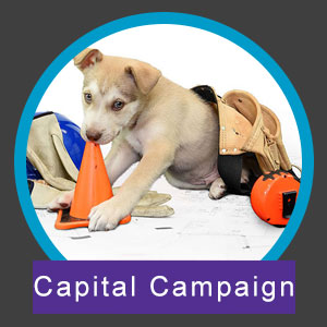San Antonio Humane Society