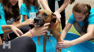 Bella Bath2019