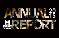 2015AnnualReport web