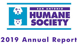2019 AnnualReport logo