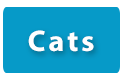 adopt cats blue