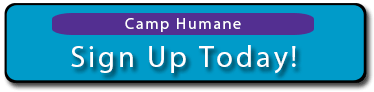 Camp Humane Sign Up 3