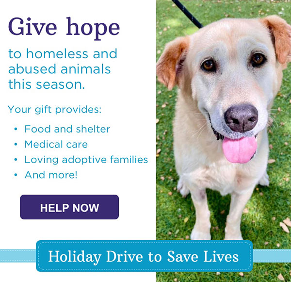 San Antonio Humane Society