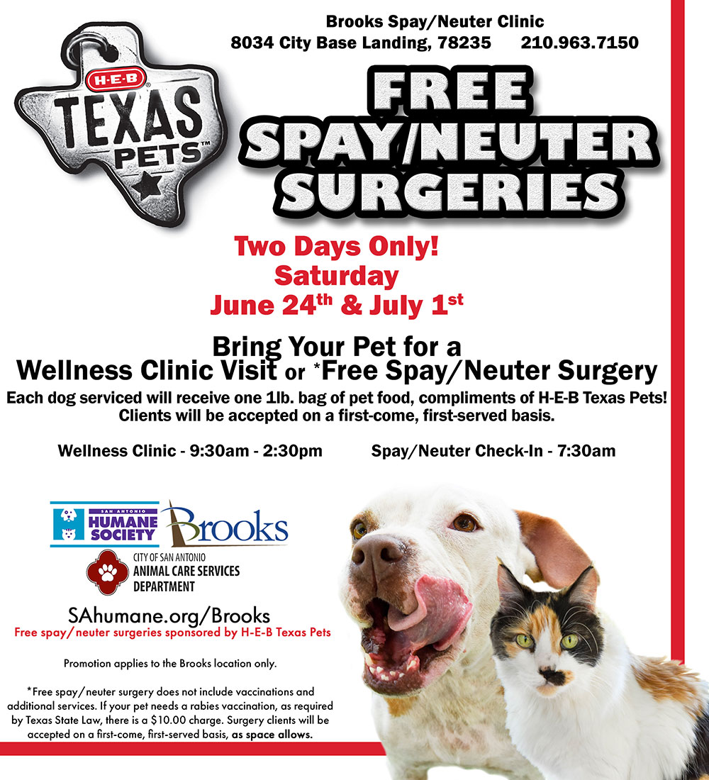 Free Spay Neuter Surgeries Sponsored By Heb