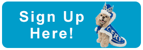 SignUp