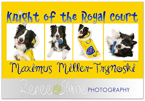 Maximus Miller Trynoski web