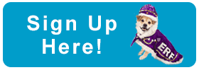SignUp2019