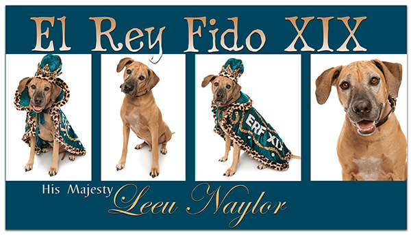 Leeu Naylor ERF 2021 web