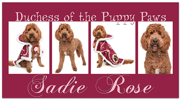 Sadie Rose ERF 2021 web