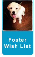 foster button wishlist1