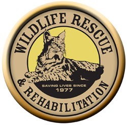 Wildlife Rescue & Rehabilitation, Inc.