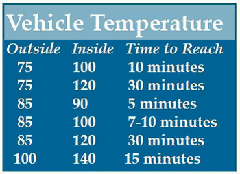 Car Temperatures Outside vs Inside 