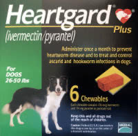 Heartgard 26-50 lbs