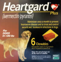 Heartgard 51-100 lbs