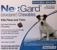 Nexgard 10.1-24 lbs