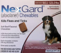 Nexgard 60.1-121 lbs