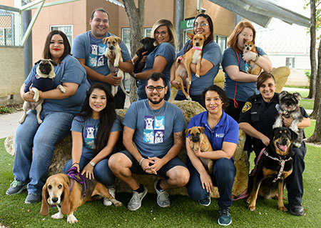 AdoptionStaff July2017 web