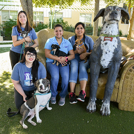 ClinicStaff Oct2017
