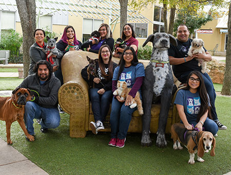 Adoption Staff Dec2018