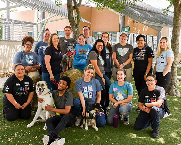 Staff 2019