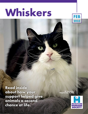 Whiskers SAHS February 2023