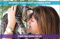 SAHS 2013 Annual Report