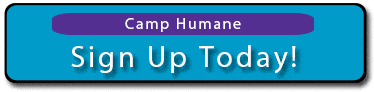 Camp Humane Sign Up 3