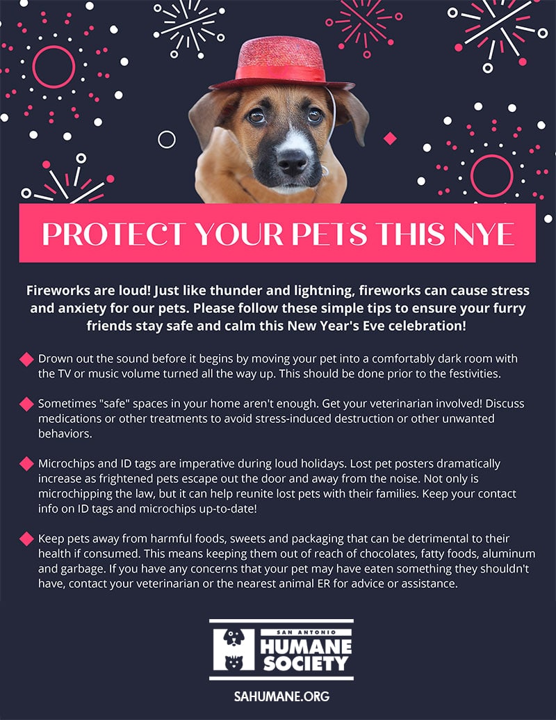 Protect your pet this new years eve