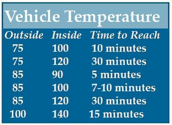 Car Temperatures Outside vs Inside