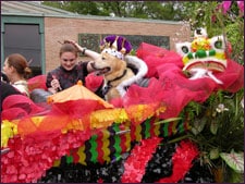 Ruling Dogs of China - HSSA at the Battle of Flowers Parade