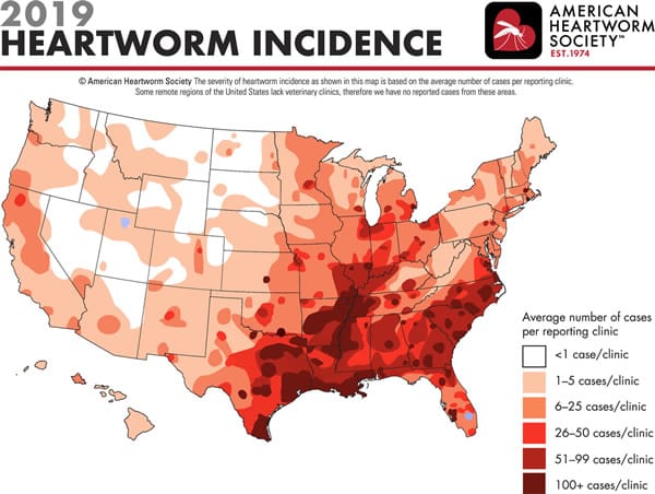 hw incidence map 2019