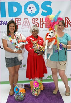 Fiesta Fidos and Fashion Canine Costume Contest Winners