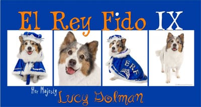Lucy El Rey Fido IX