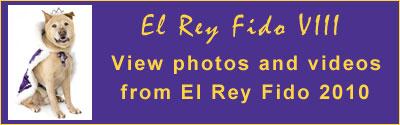 View Photos and Video from El Rey Fido 2010