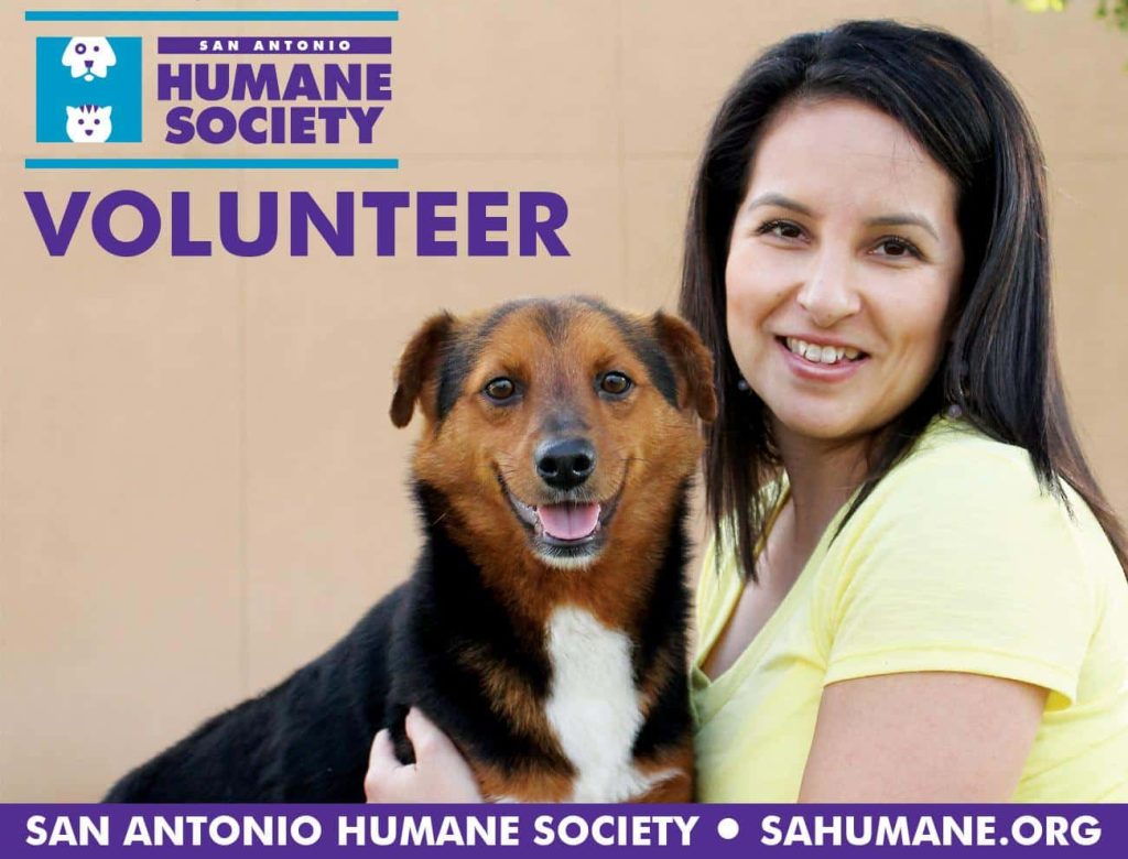 Volunteer - San Antonio Humane Society