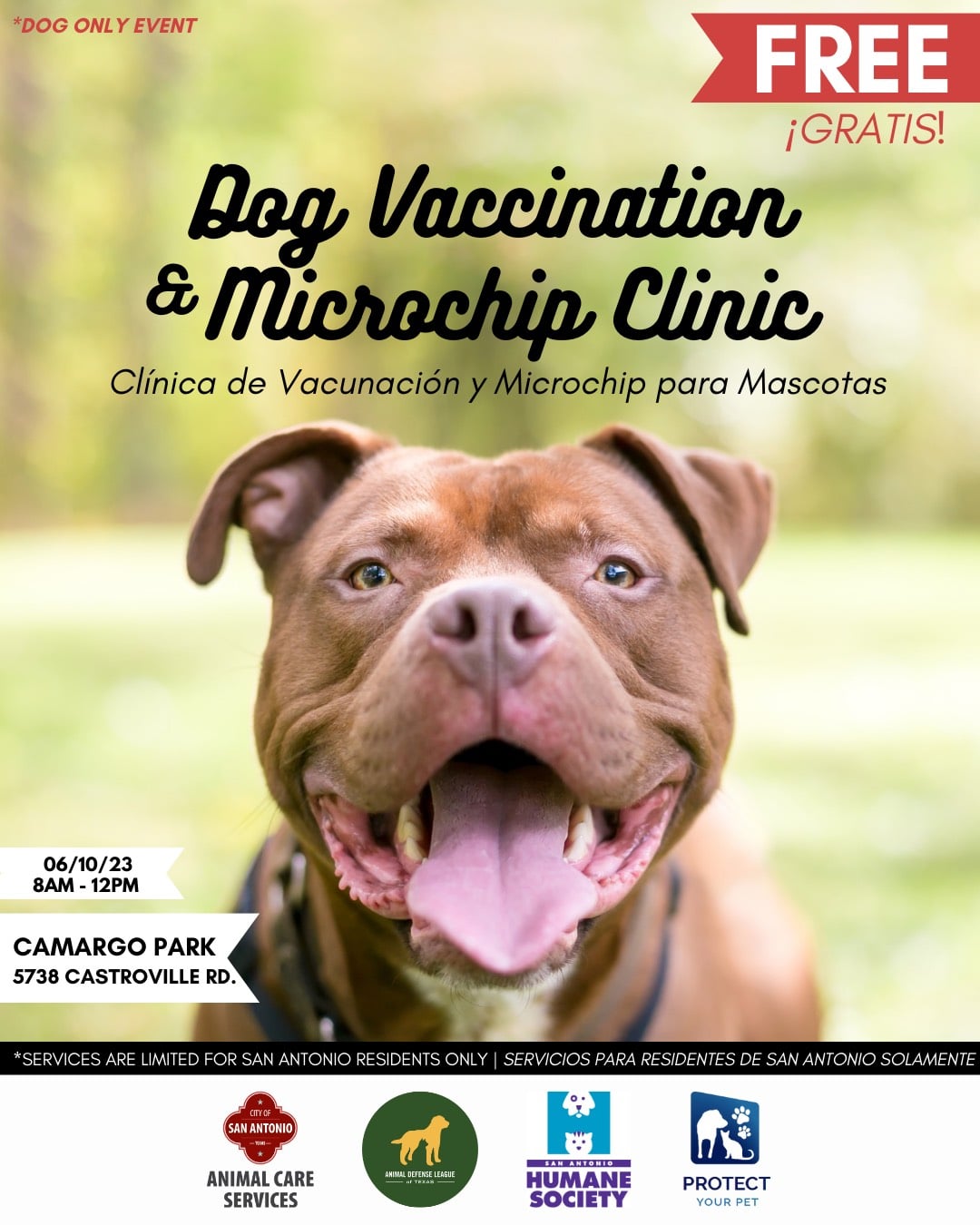 Dog vaccination clinic