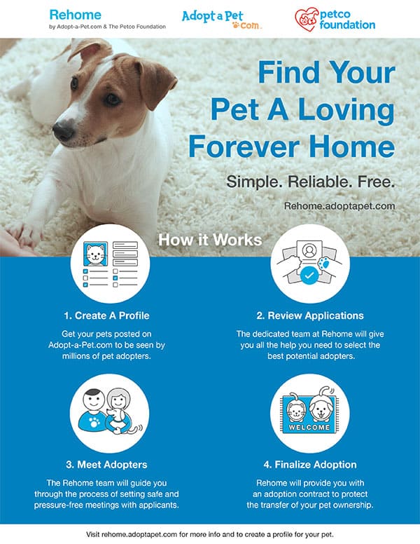 rehome flyer