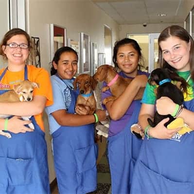 group of girls holding dogs