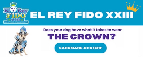 Join El Rey Fido 2025