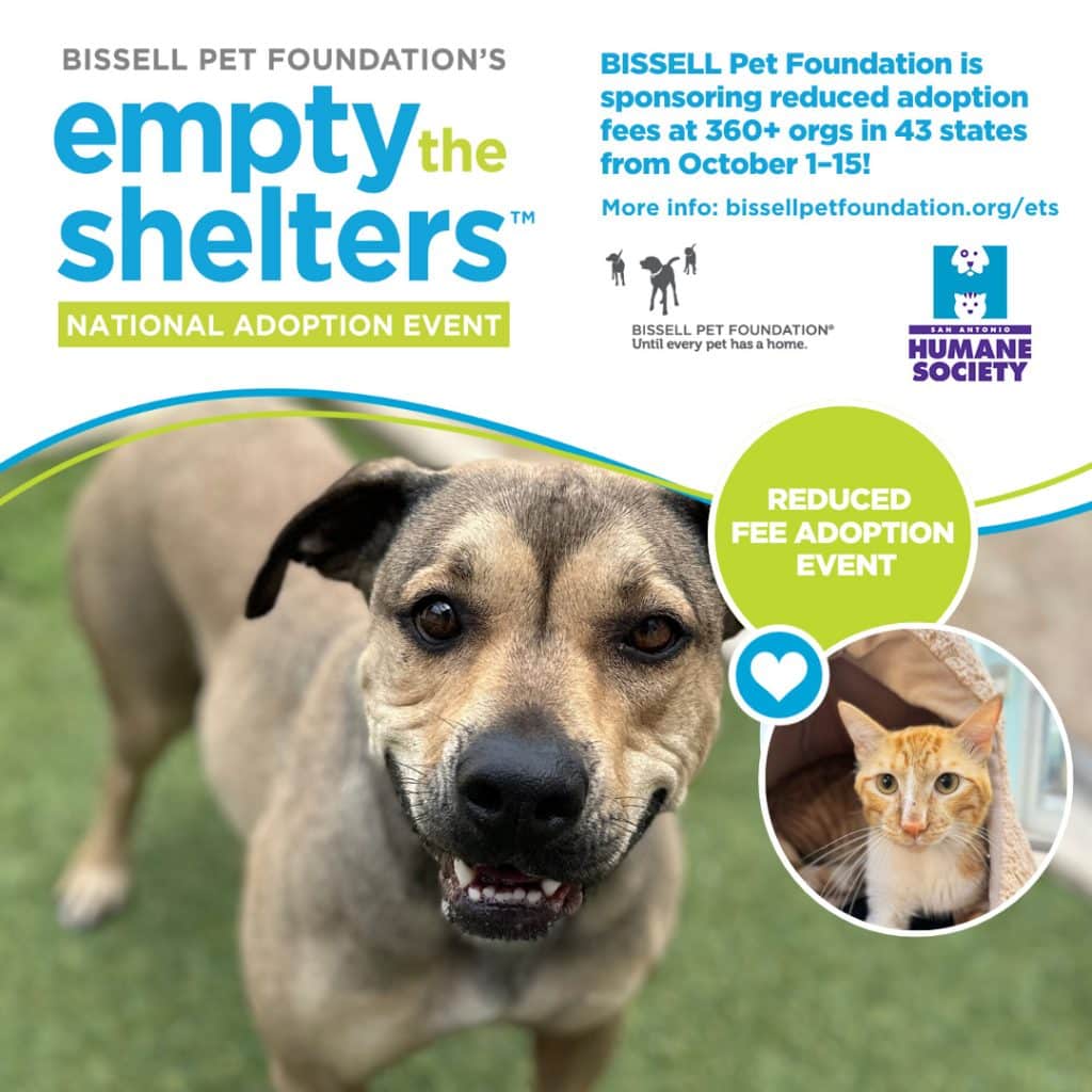 empty the shelters adoption event