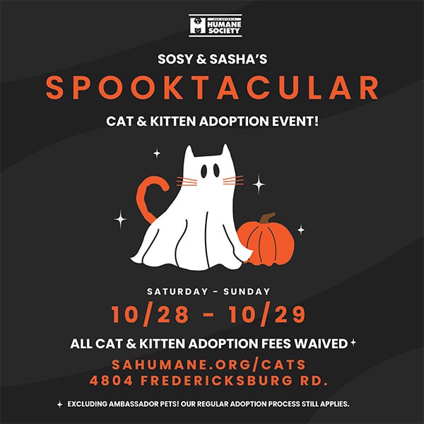 Boston Cat Extravaganza and Rescue Awareness Event [09/23/23]