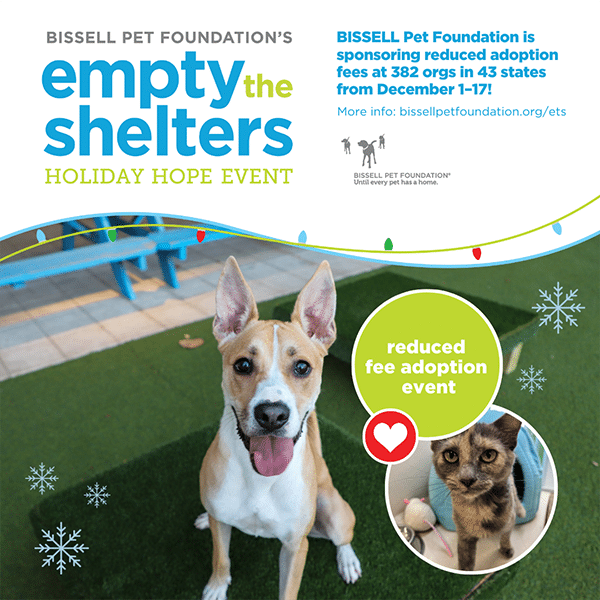 bissell pet foundations empty the shelters holiday hope event