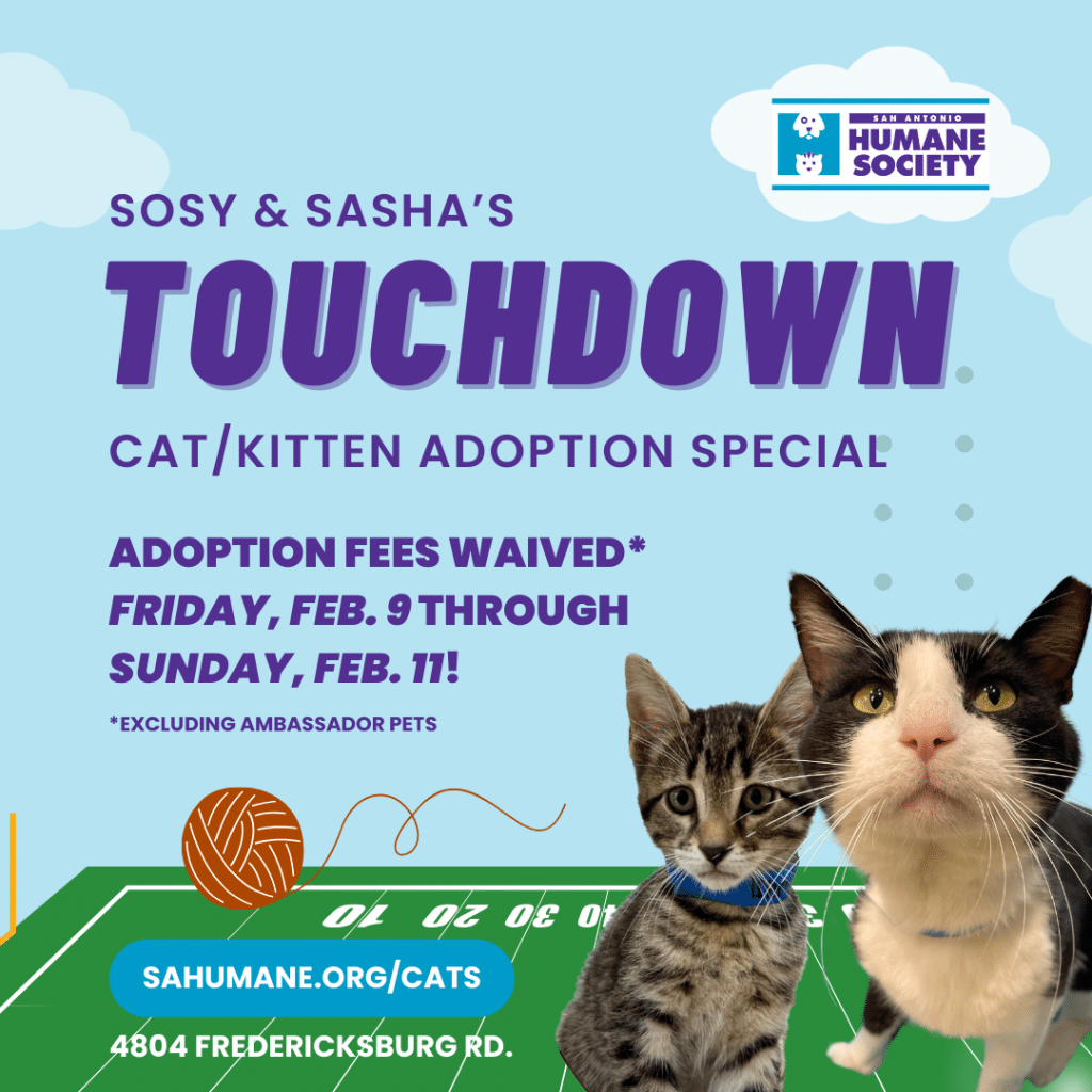 sosy and sasha's adoption special