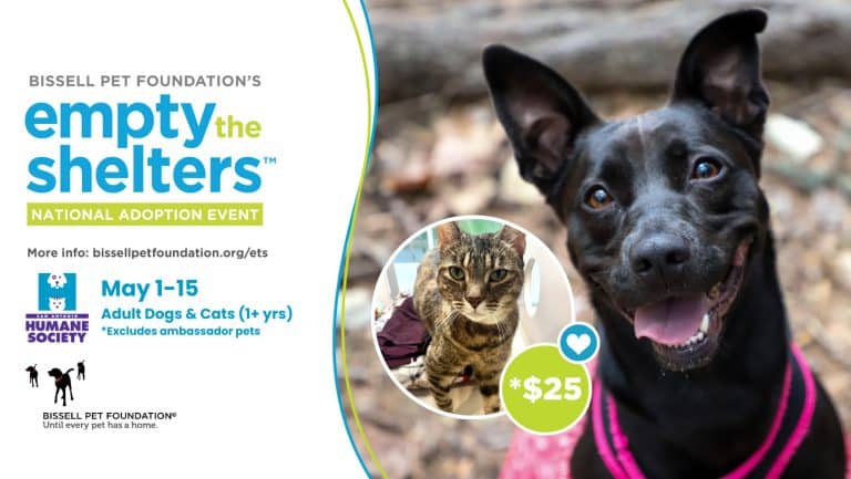empty the shelters adoption event from may 1-15