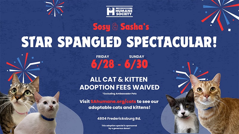 sosy and sasha adoption event