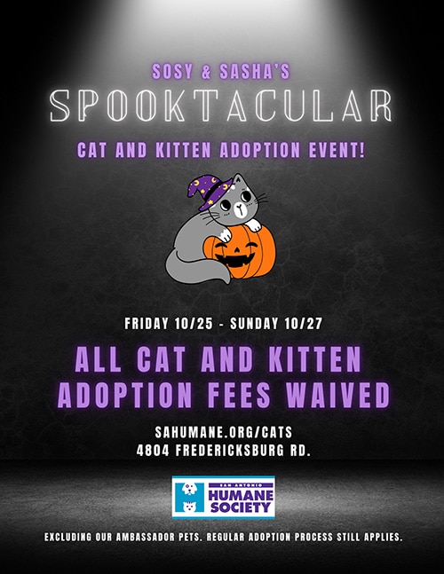 Sosy and Sasha's spooktacular adoption special