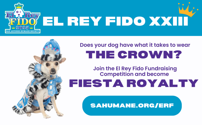 Join the 2025 El Rey Fido fundraising competition