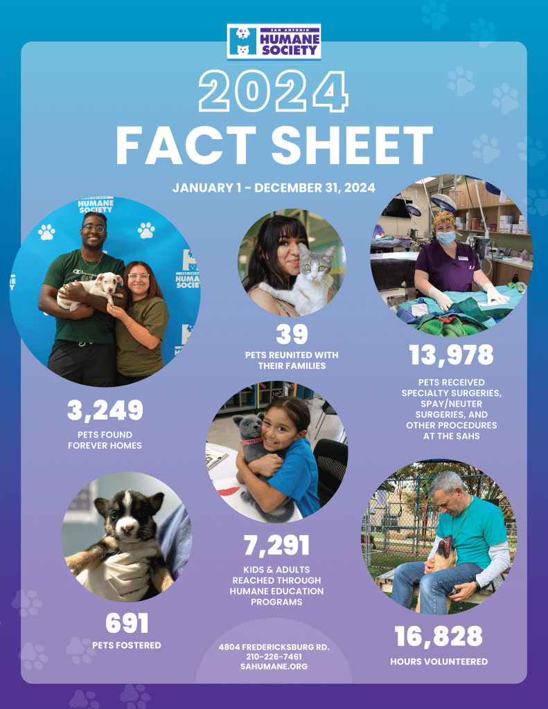 SAHS 2024 Fact Sheet