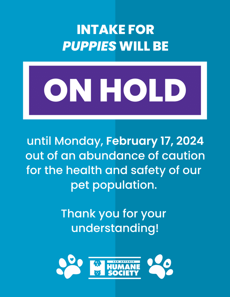 intake closed for puppies